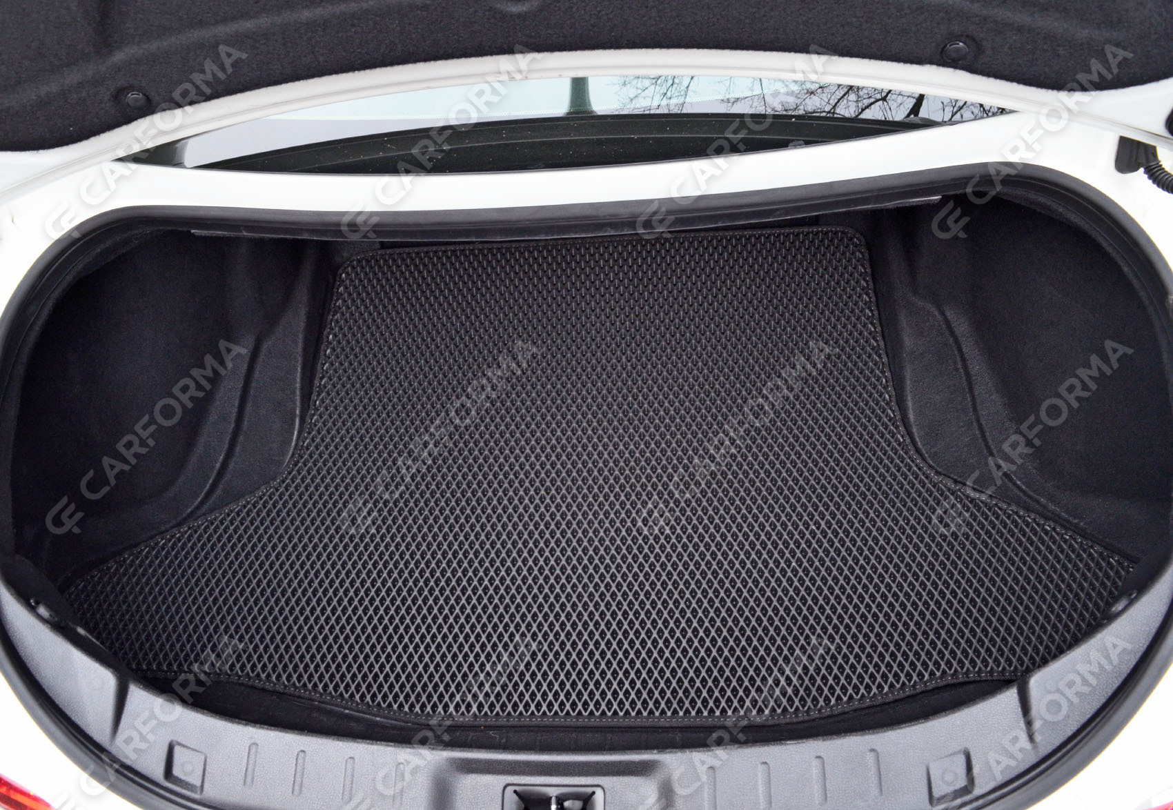 EVA коврики на Nissan GT-R 2007&nbsp;-&nbsp;2026 в Сургуте