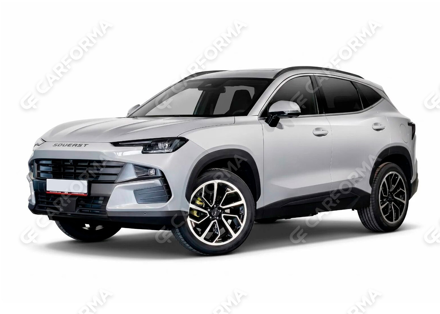 Коврики на Soueast S06 2024&nbsp;-&nbsp;2026 в Сургуте