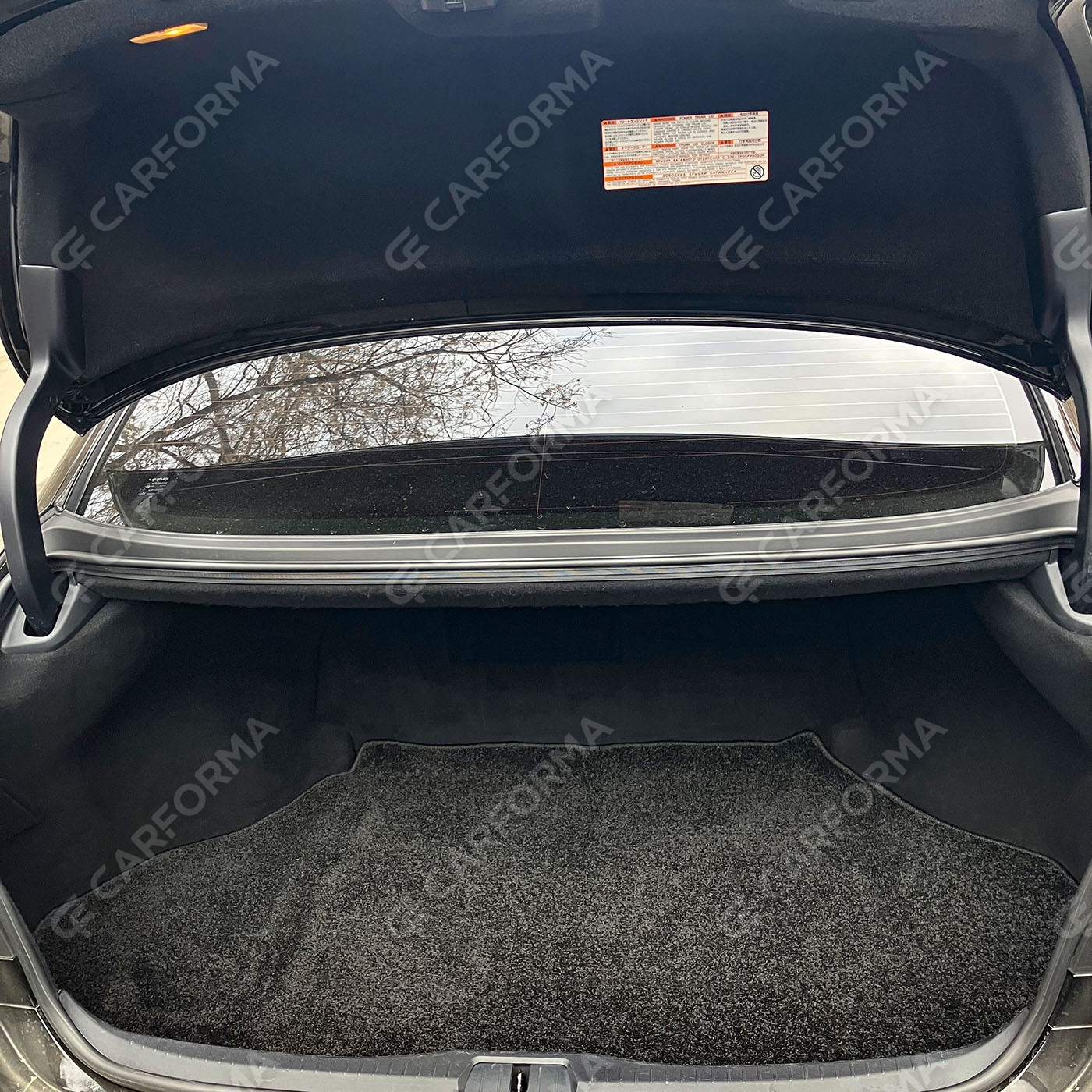 Коврики на Lexus LS IV 2006&nbsp;-&nbsp;2017 в Сургуте