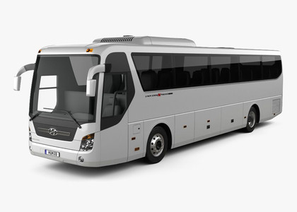Коврики на Hyundai Universe Space Luxury  в Сургуте