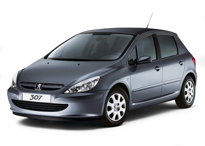 EVA коврики на Peugeot 307 2001 - 2008 в Сургуте