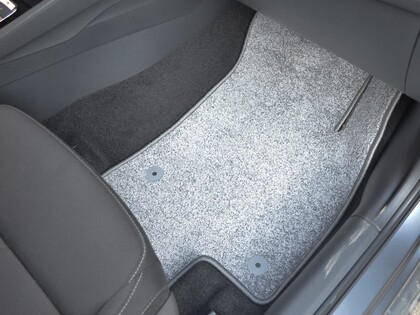 Коврики на Audi Q2L 2016&nbsp;-&nbsp;2026 в Сургуте