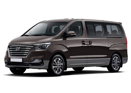 Коврики на Hyundai H1 II 2007 - 2022 в Сургуте