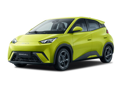 Коврики на BYD Seagull 1 2023&nbsp;-&nbsp;2026 в Сургуте